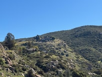 View of the house coming up the road