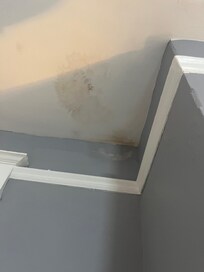 Leak upstairs room with double beds.
Chapel St. home
