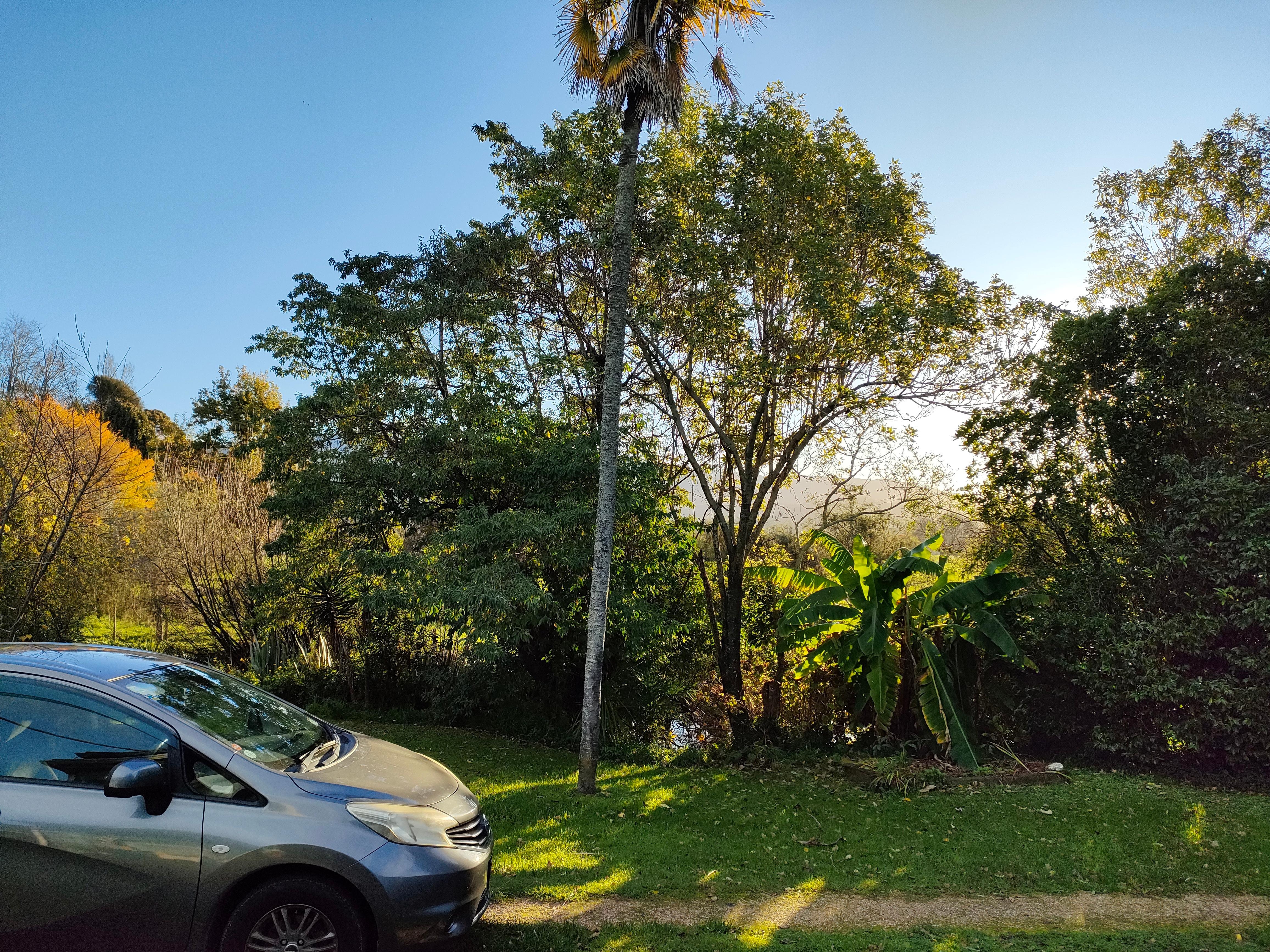 View from back of the house.