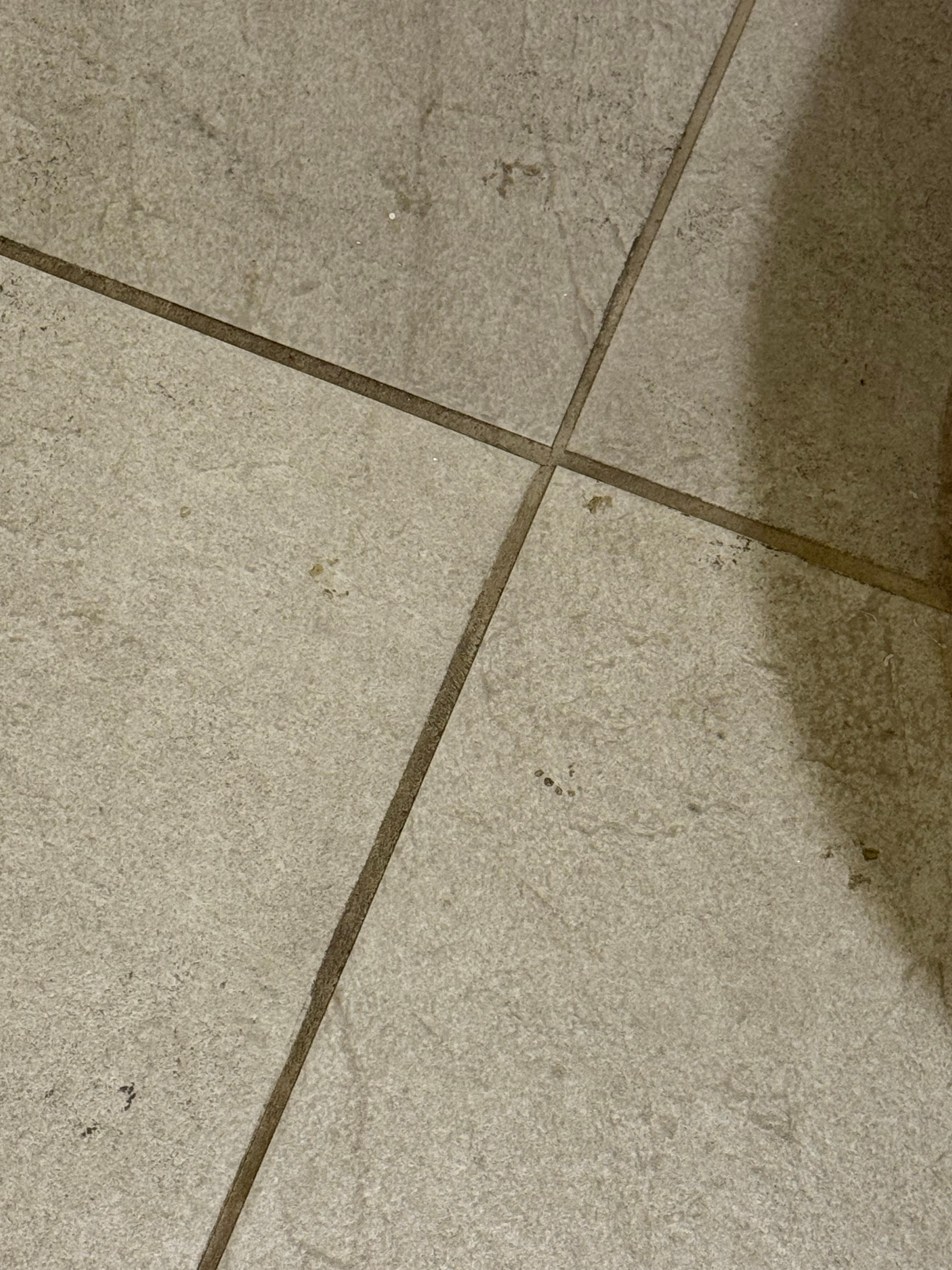 Dirt stains on bathroom floor