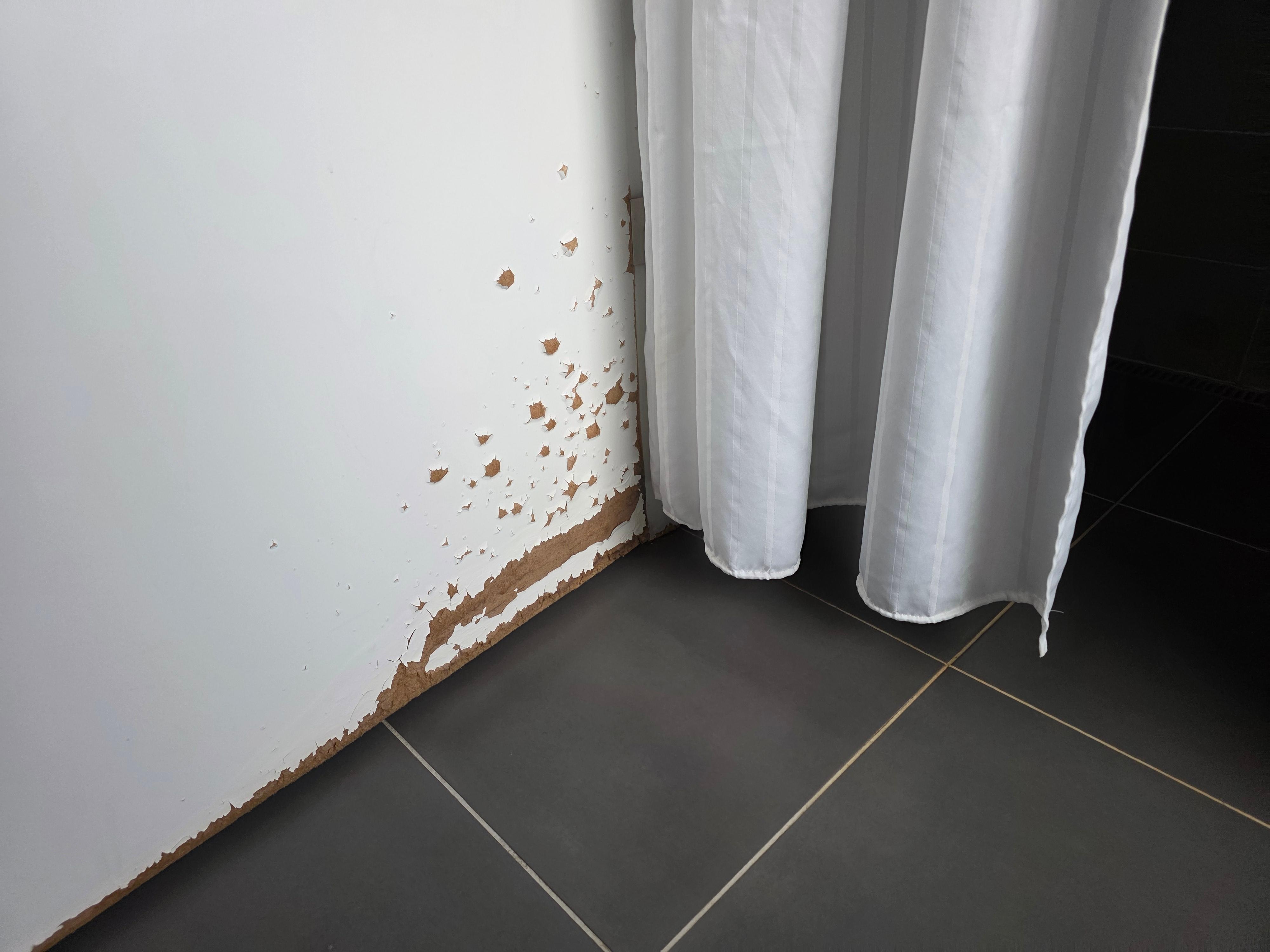 water damage to the main bathroom as the shower can splash on it.