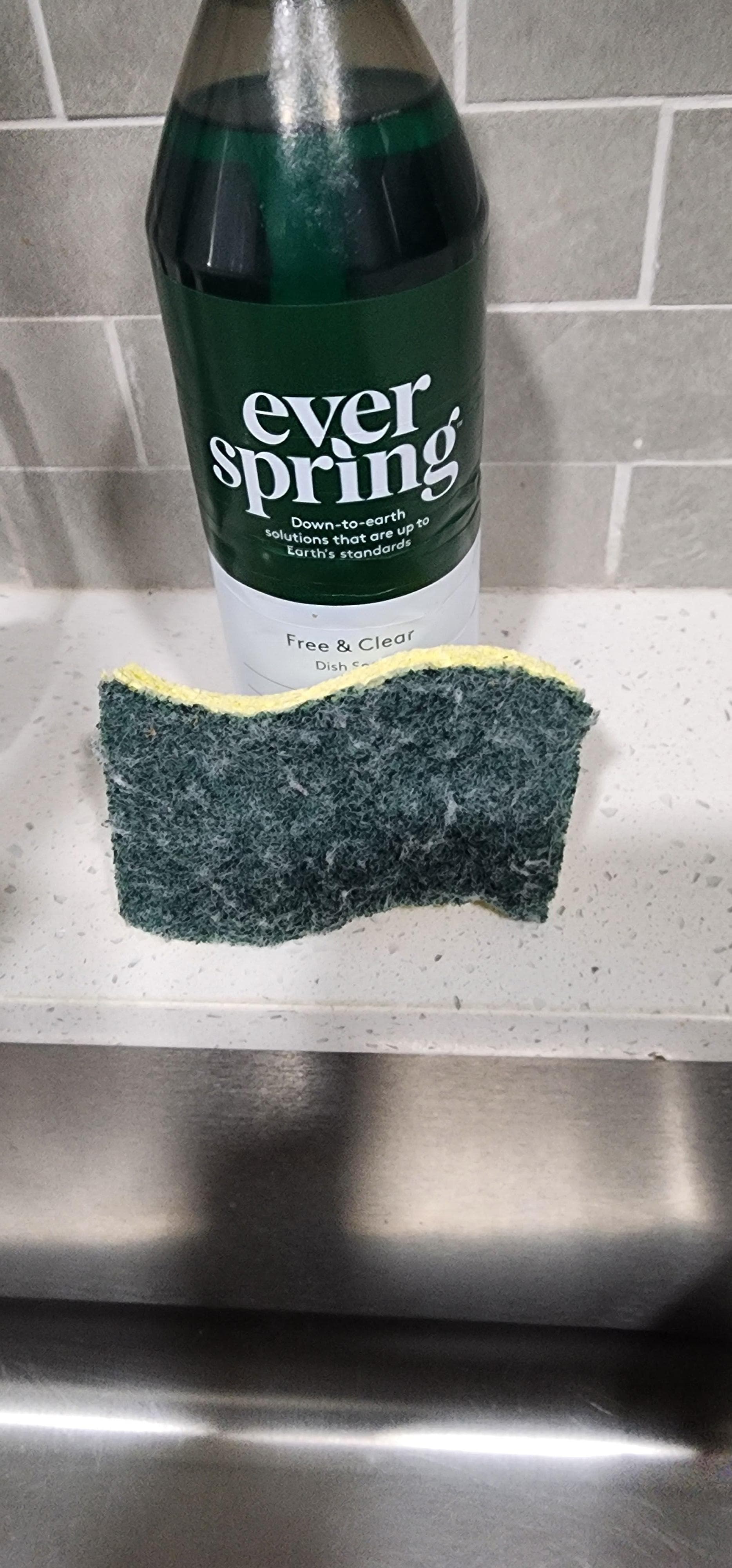 Why leave us a dirty used old sponge