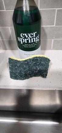 Why leave us a dirty used old sponge