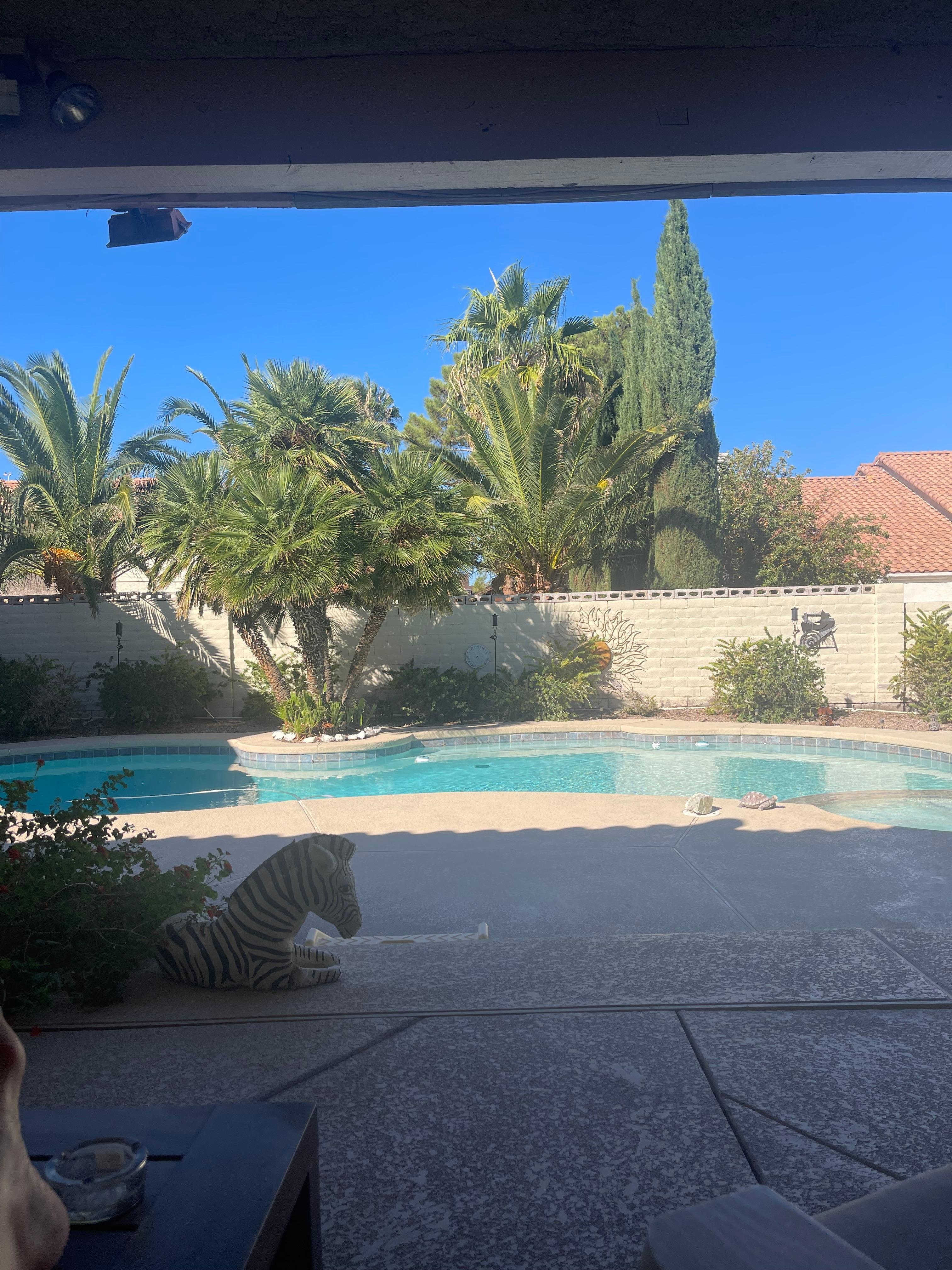 Patio and pool is paradise 