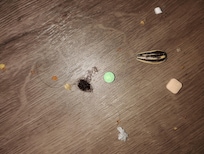 I don't know what any of these pills where.