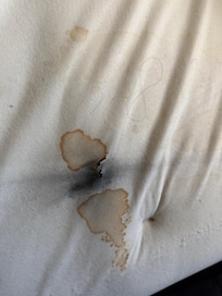 black mold stains in the mattress