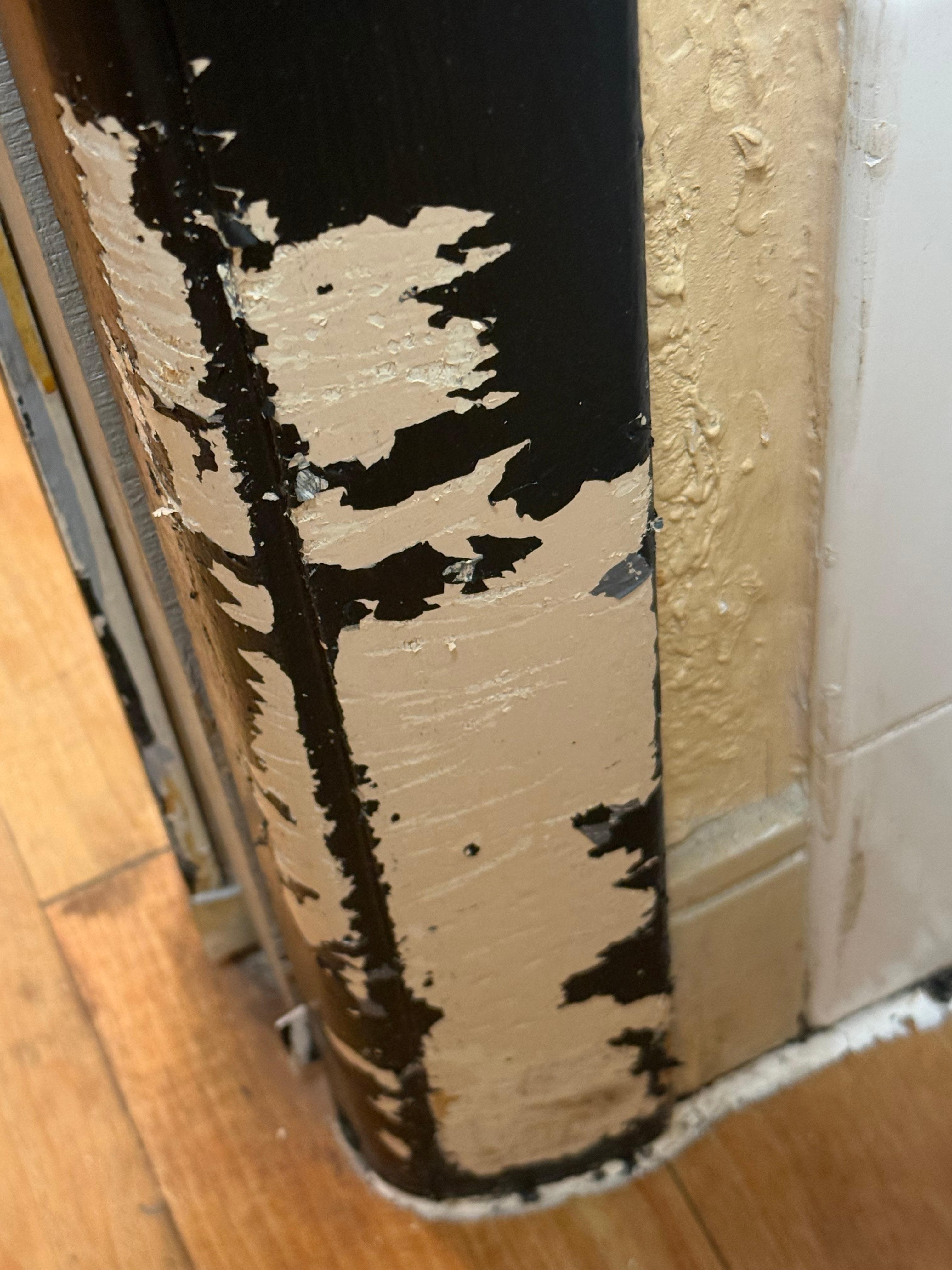 Door casing looking towards the sink was chewed by a dog 