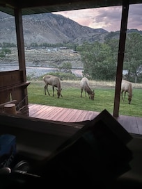 Outside Cabin Four windiw