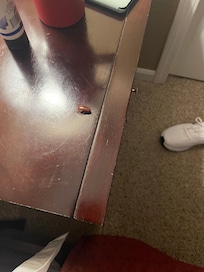 Little thing was brave.