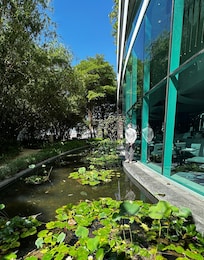 Garden pond -
Lush green space has walking trails among bamboo trees and a pond with lilies and frogs!