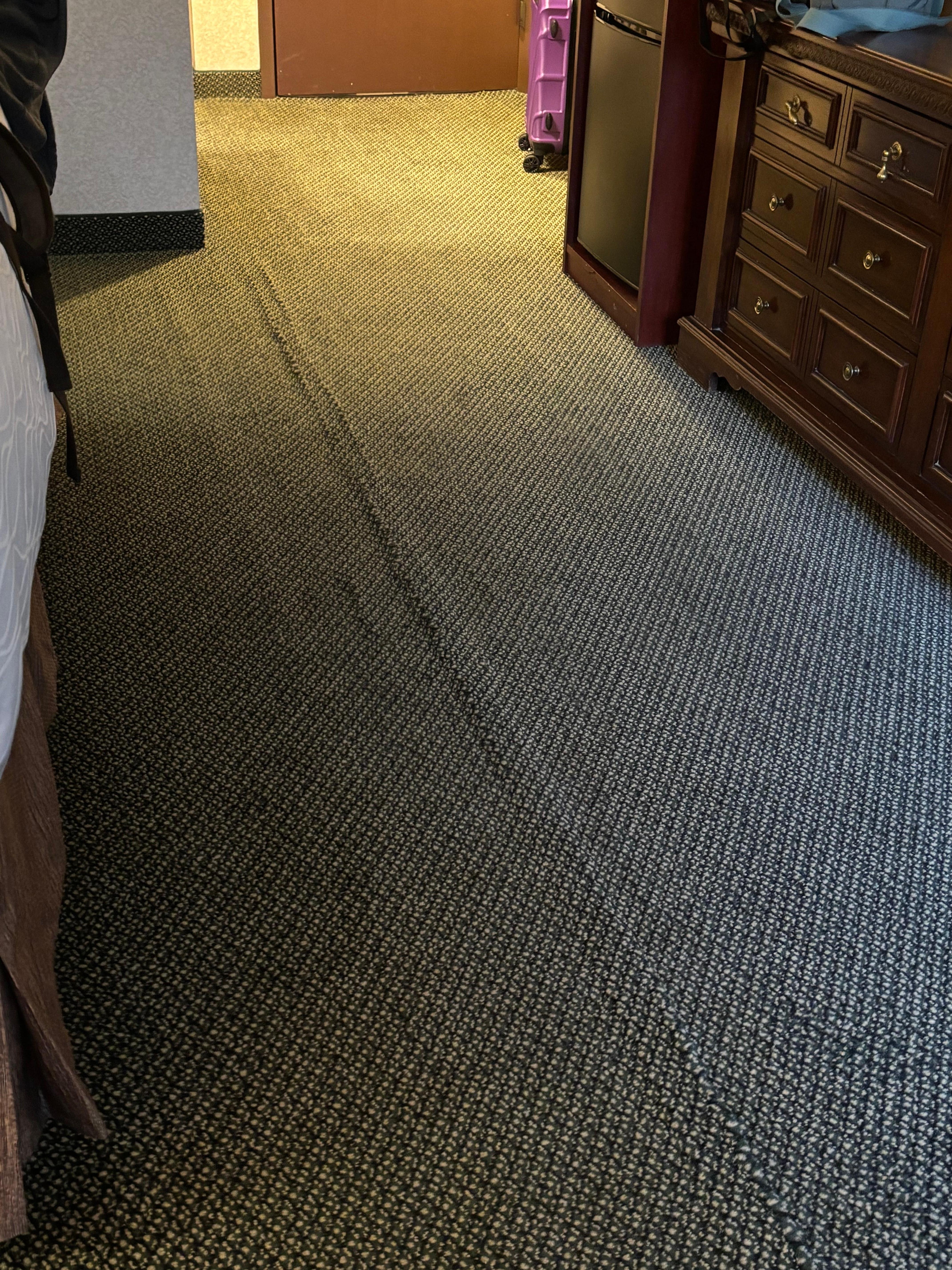 Tripping hazard from entry door to window. Condition of rug makes room feel dirty. Probably is if this is the conditon of the rug.