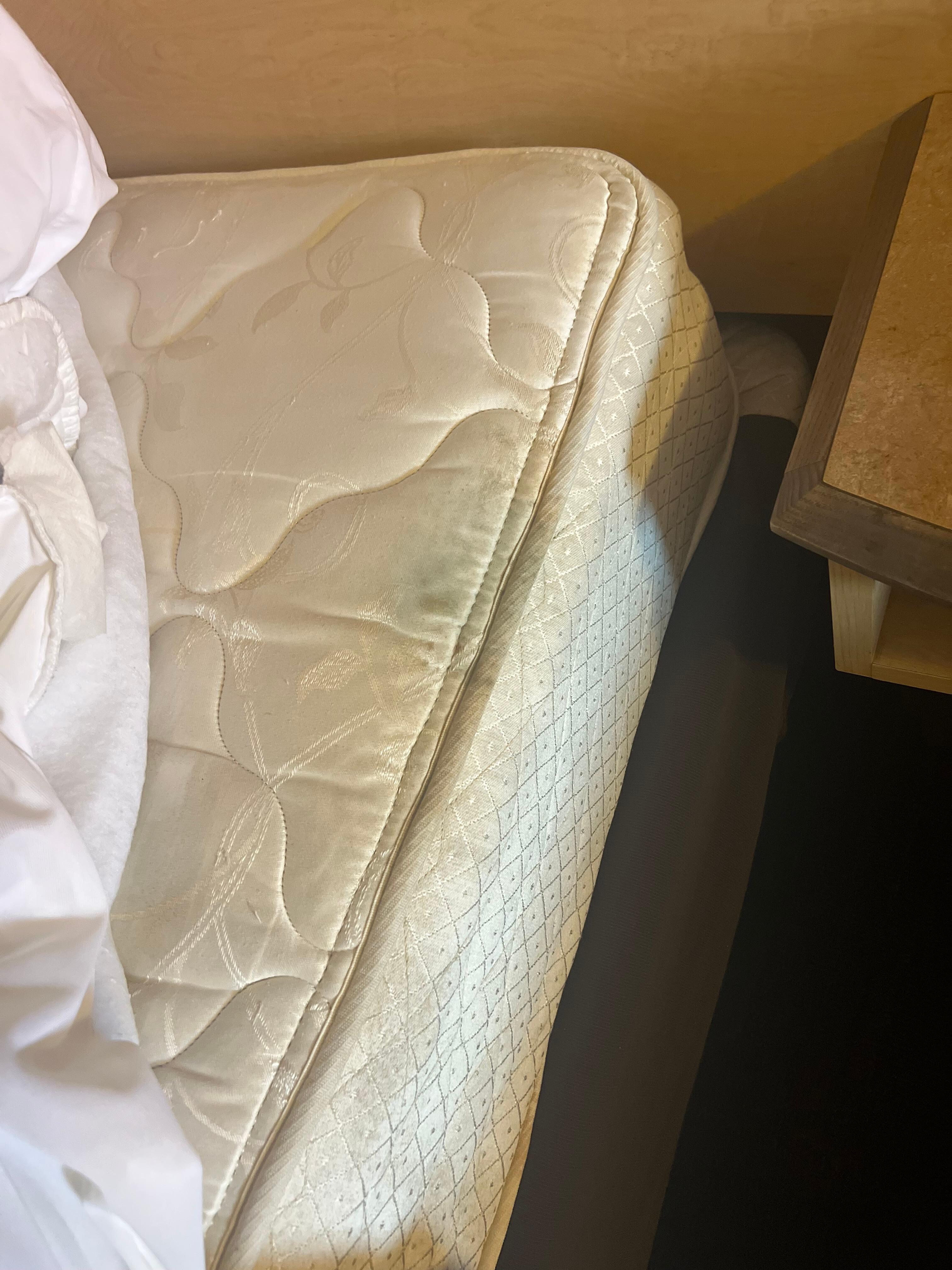 HEALTH HAZARD! Moldy mattress. 