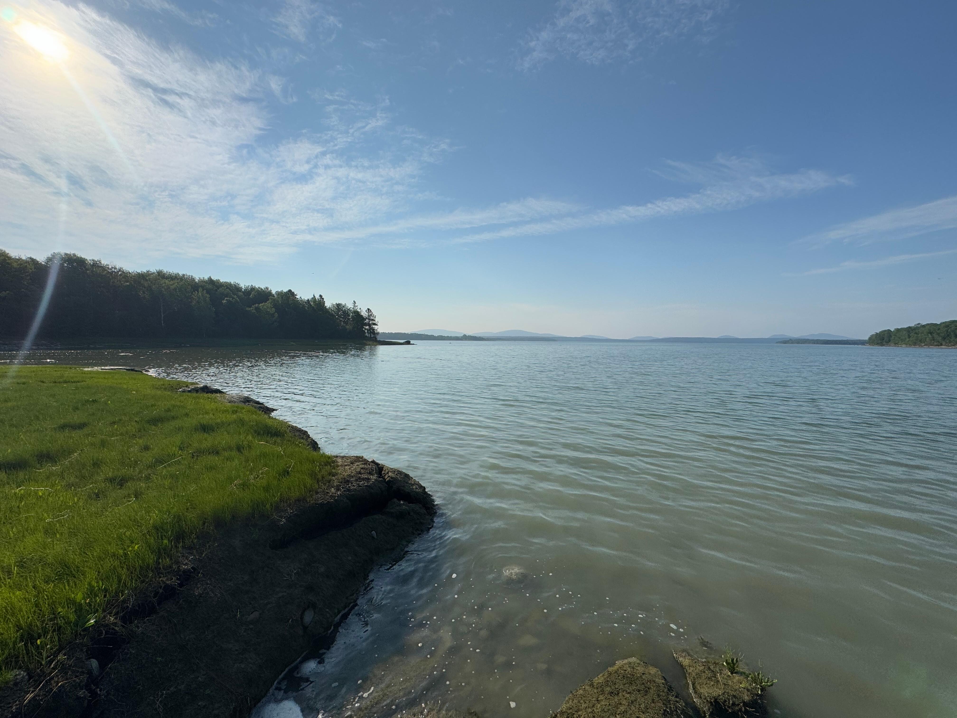 Shoreline of Oak Cottage