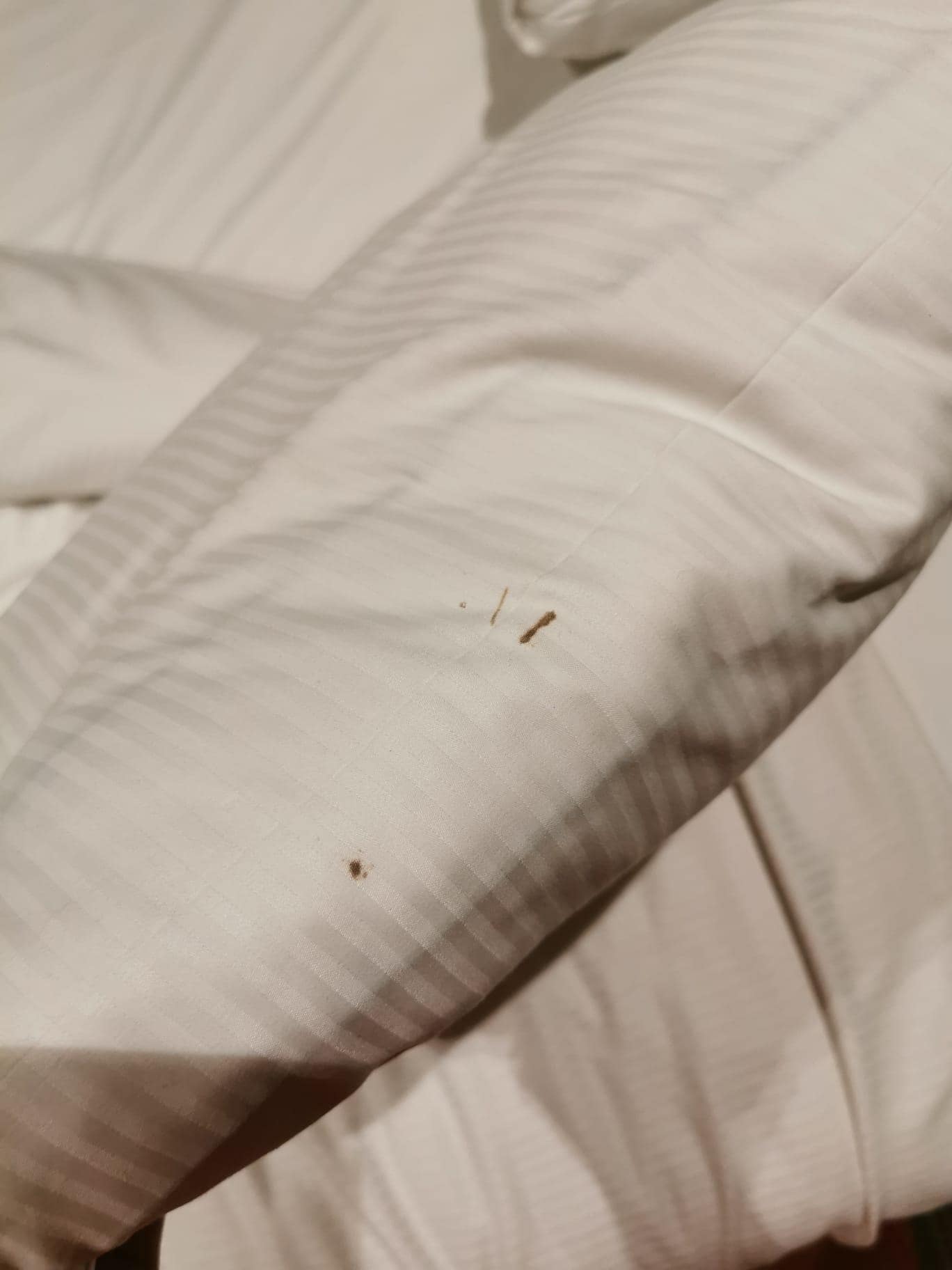 Blood on sheets