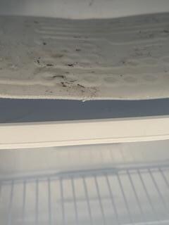 This was the inside of the refrigerator in the second room