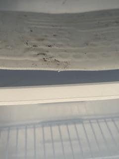 This was the inside of the refrigerator in the second room