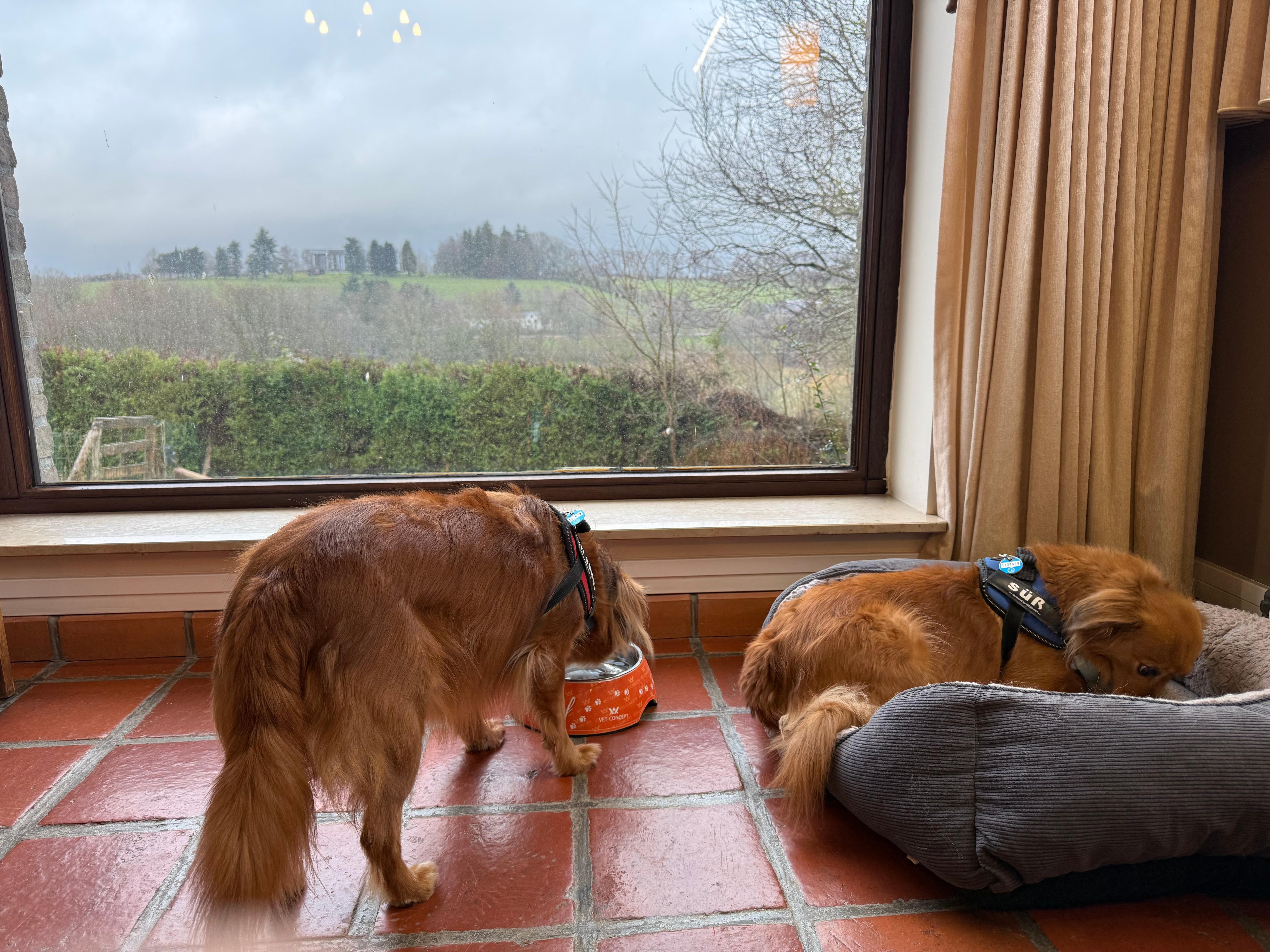 Cozy room, great view!