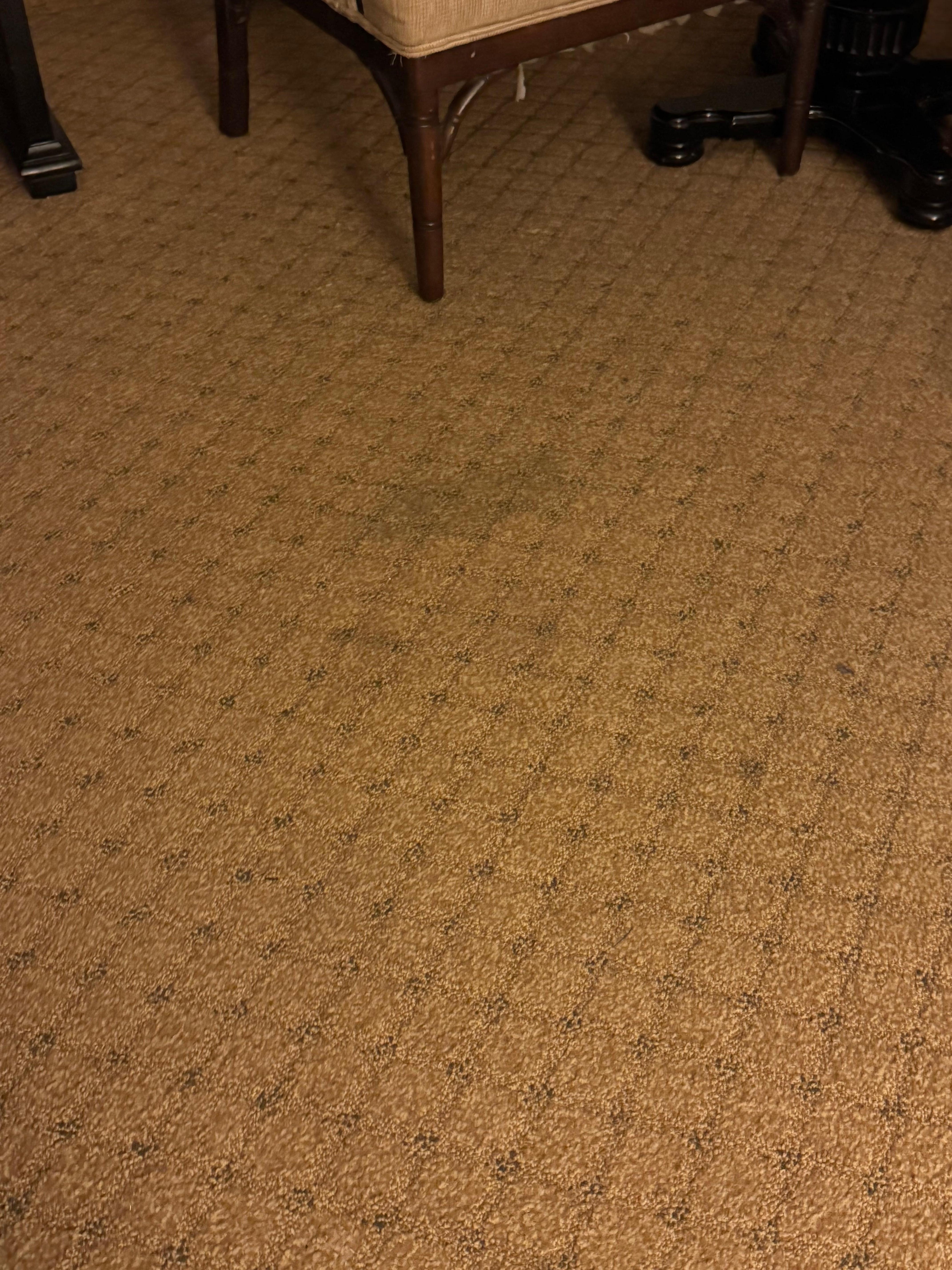 Dirty carpet