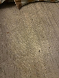 Stained carpet everywhere