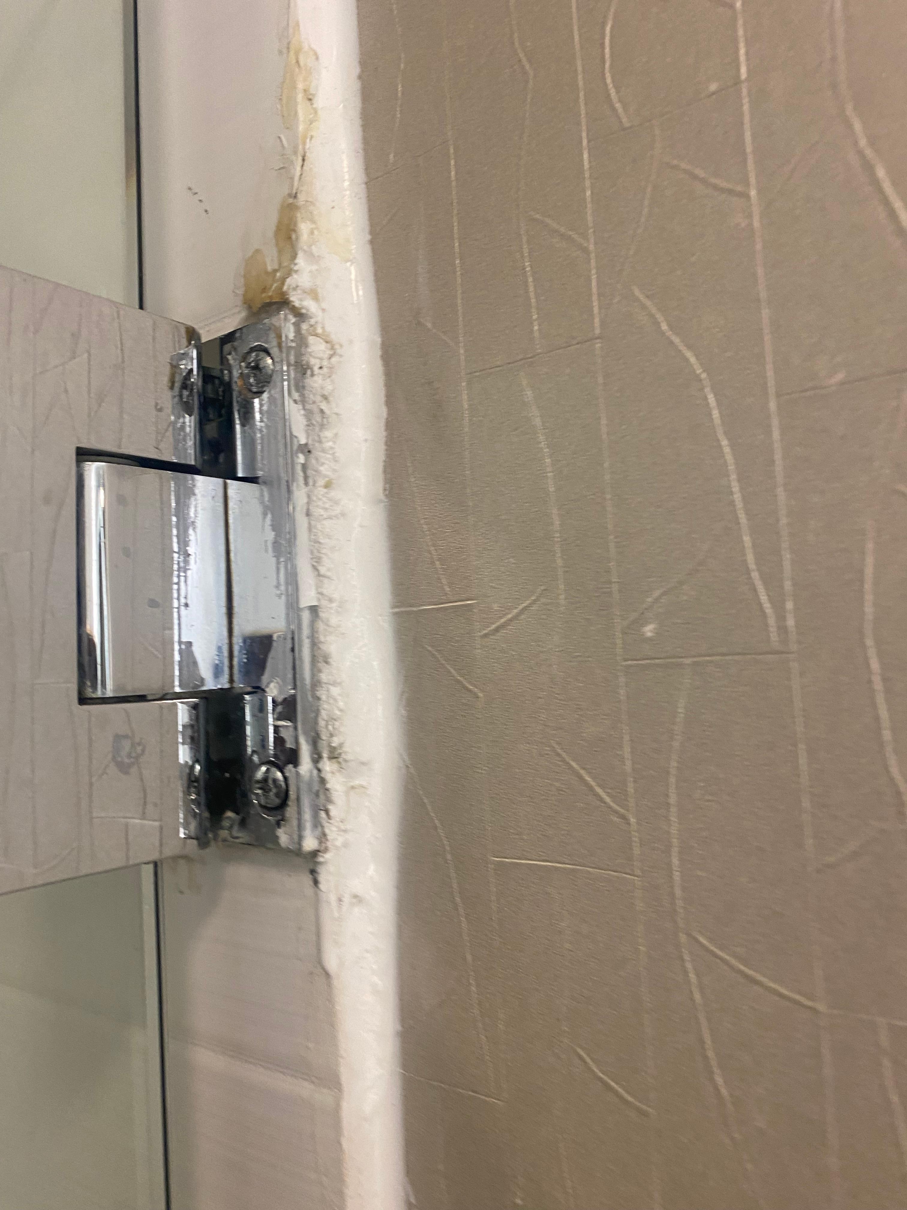 Shower door 