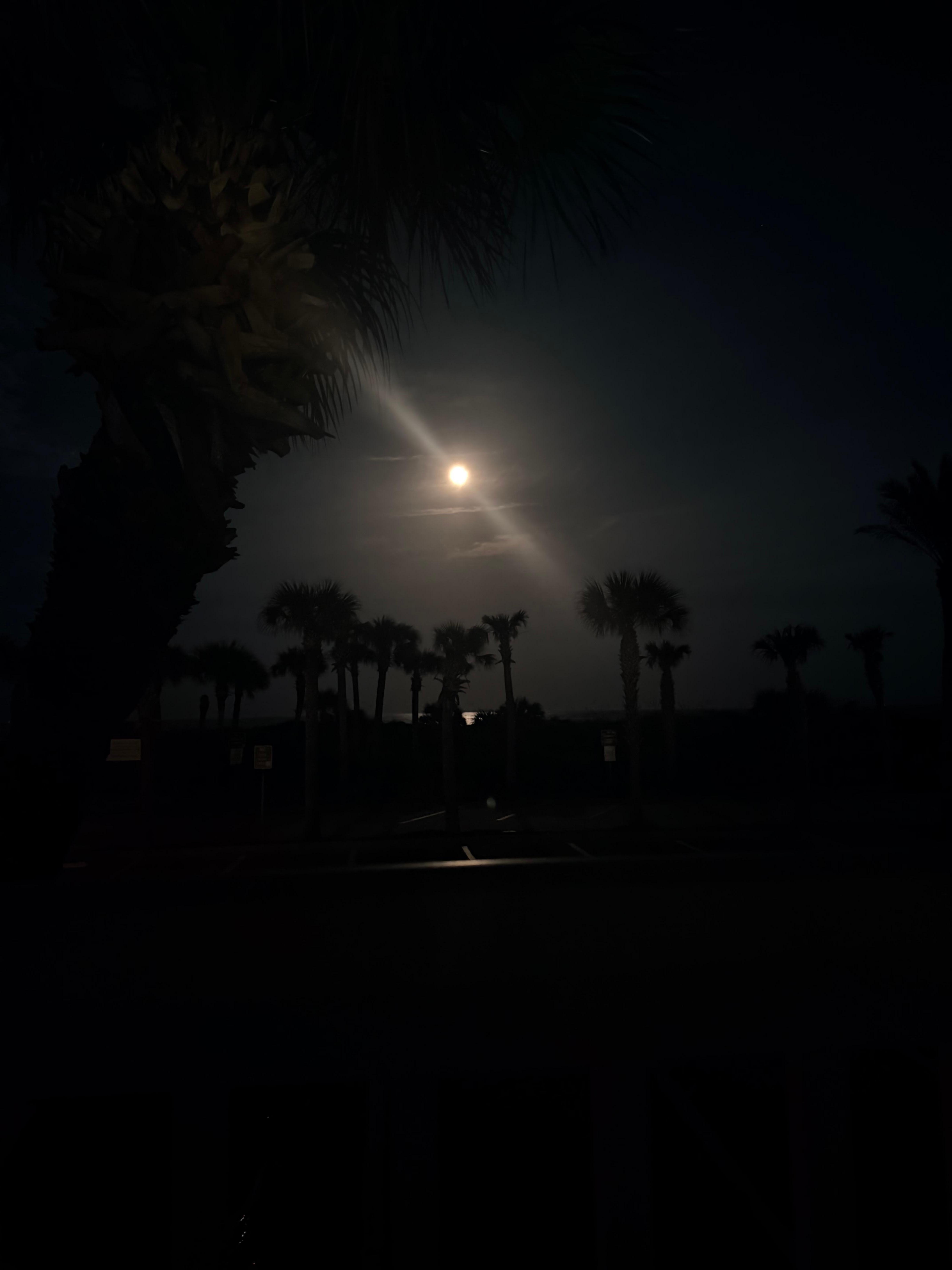 Caught a beautiful full moon rise