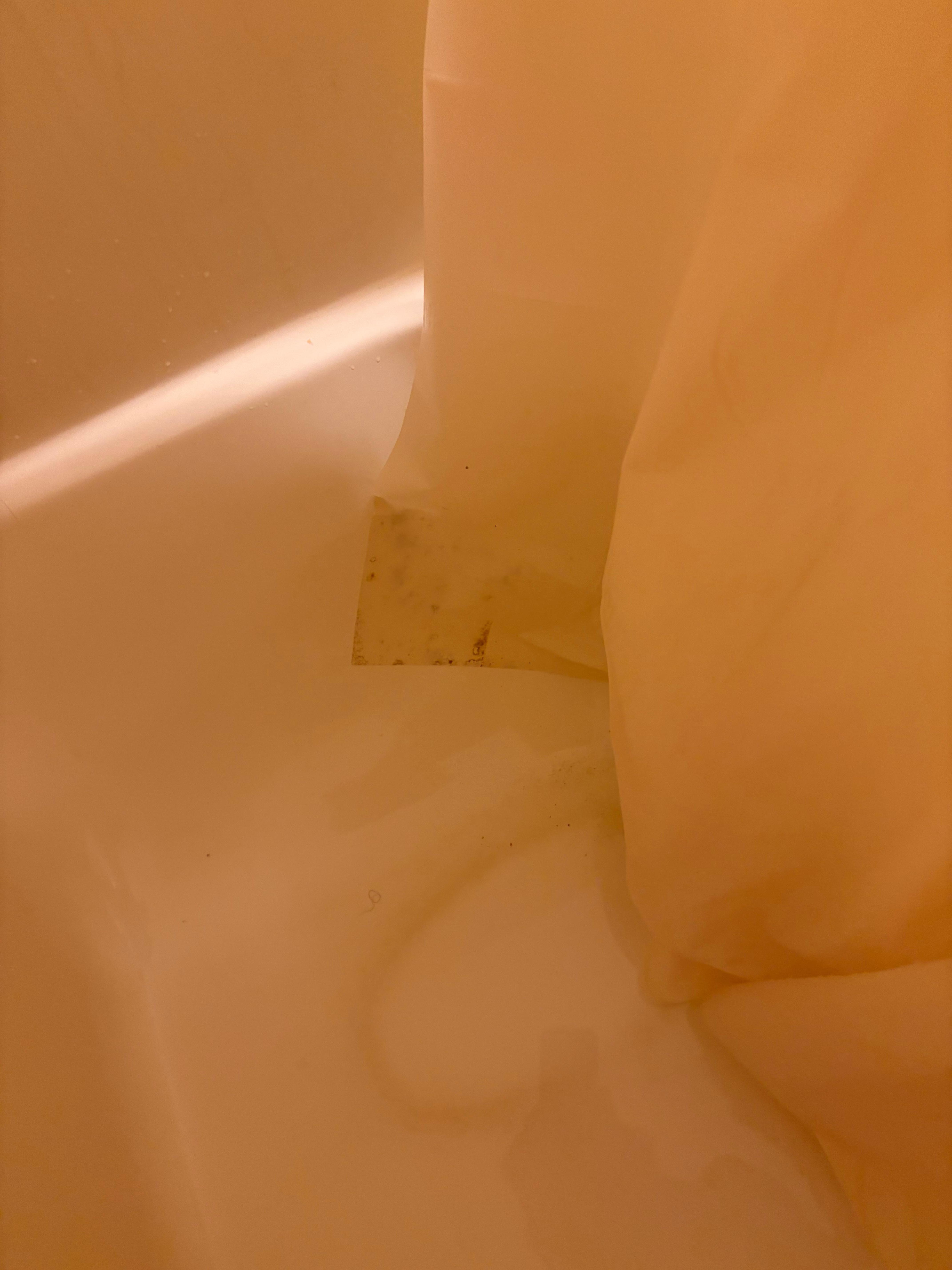 Mold on shower curtain
