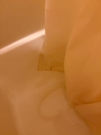 Mold on shower curtain