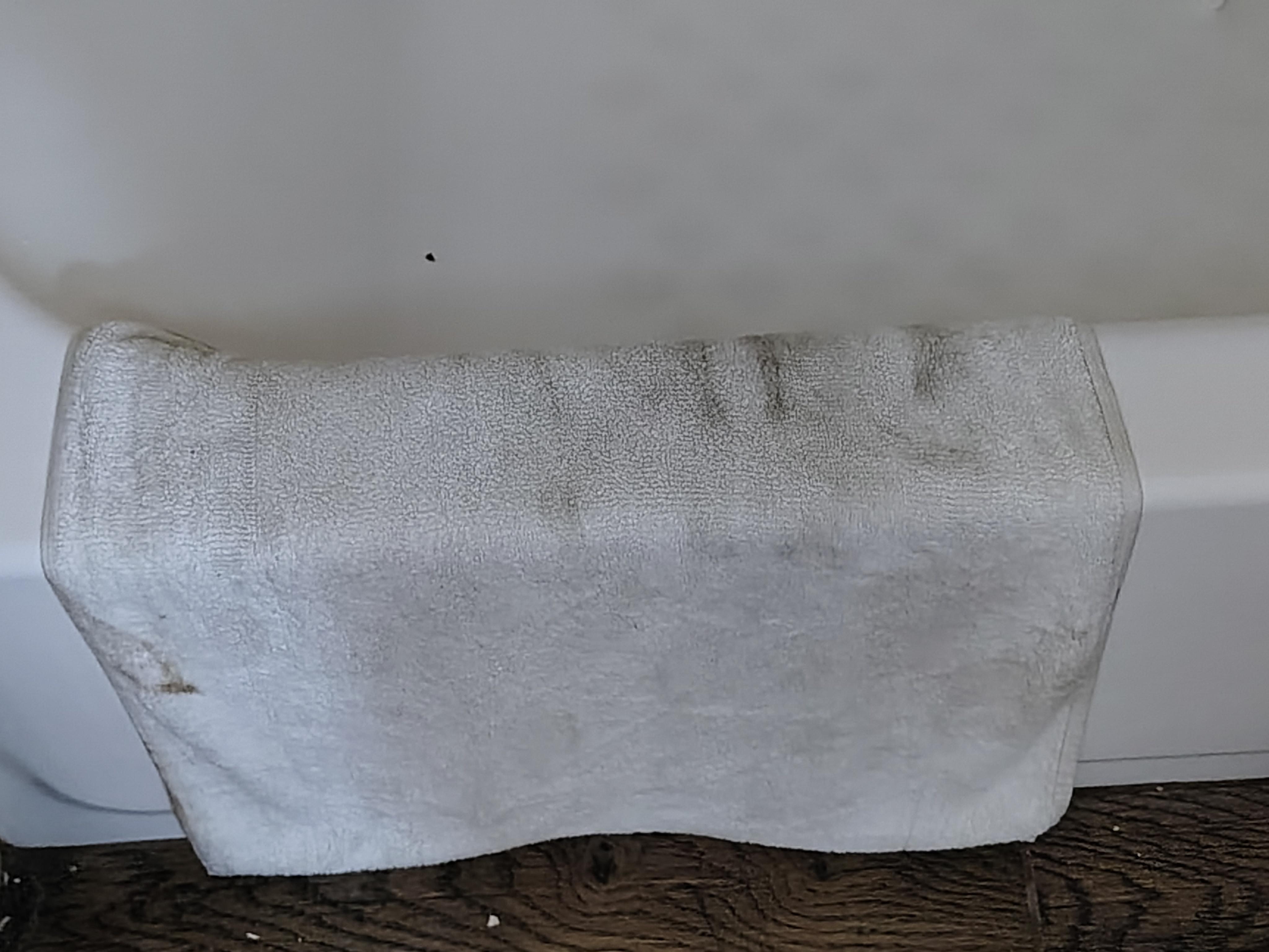 This was the rug from the bathroom floor. Apparently they don't clean the floors