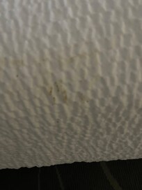 Dookie splatter