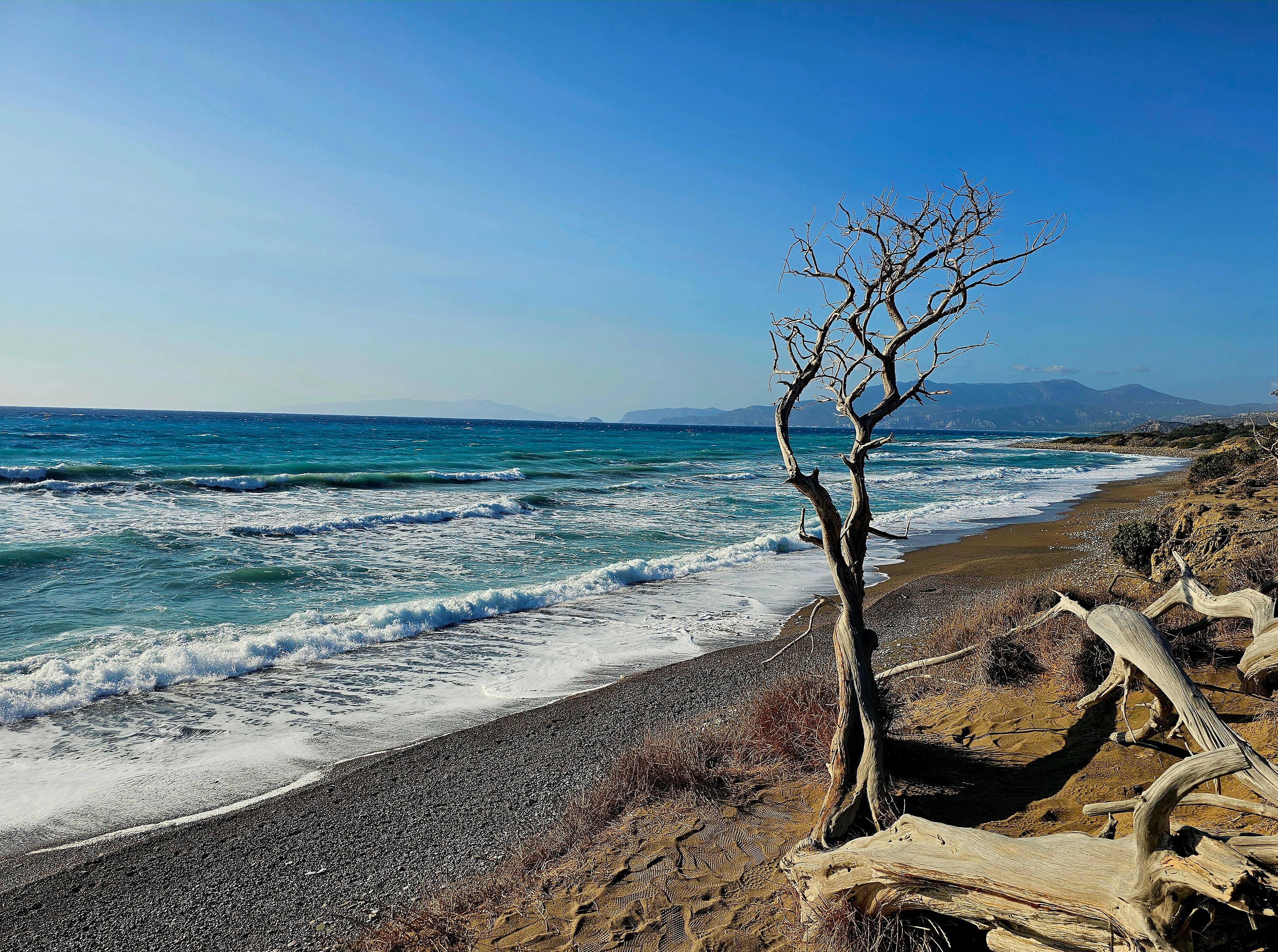 Beautiful wild west coast