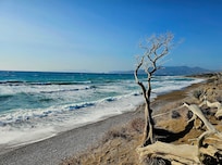 Beautiful wild west coast