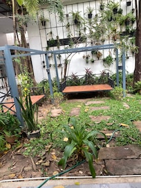 unused hanging chairs . no cushions and dirty