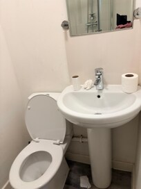 Given 1 roll of toilet paper