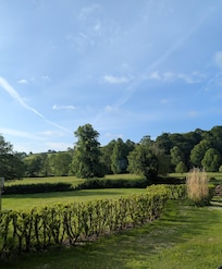 View out of the property