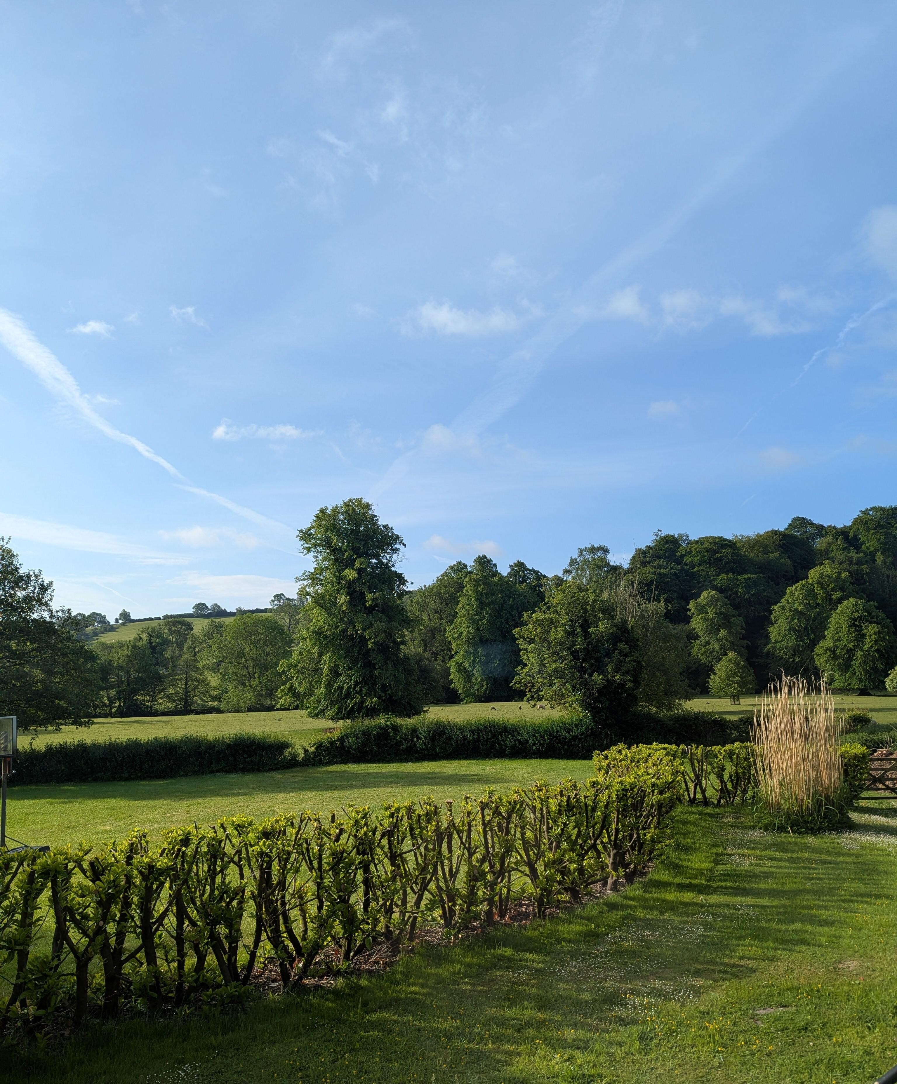 View out of the property