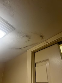 Black mold in the bathroom