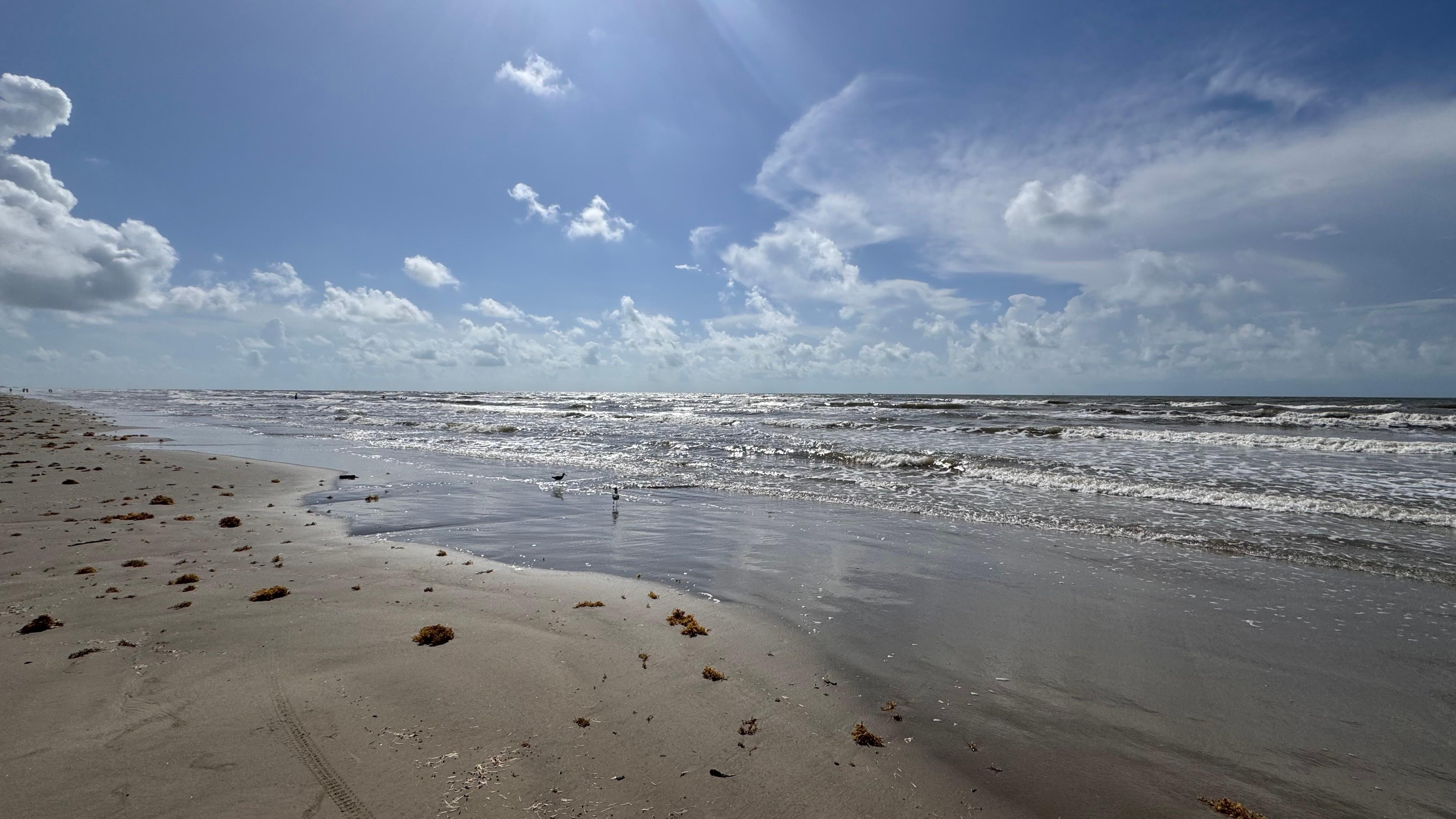 Morning walk on the beach