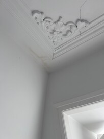mould and water damage.