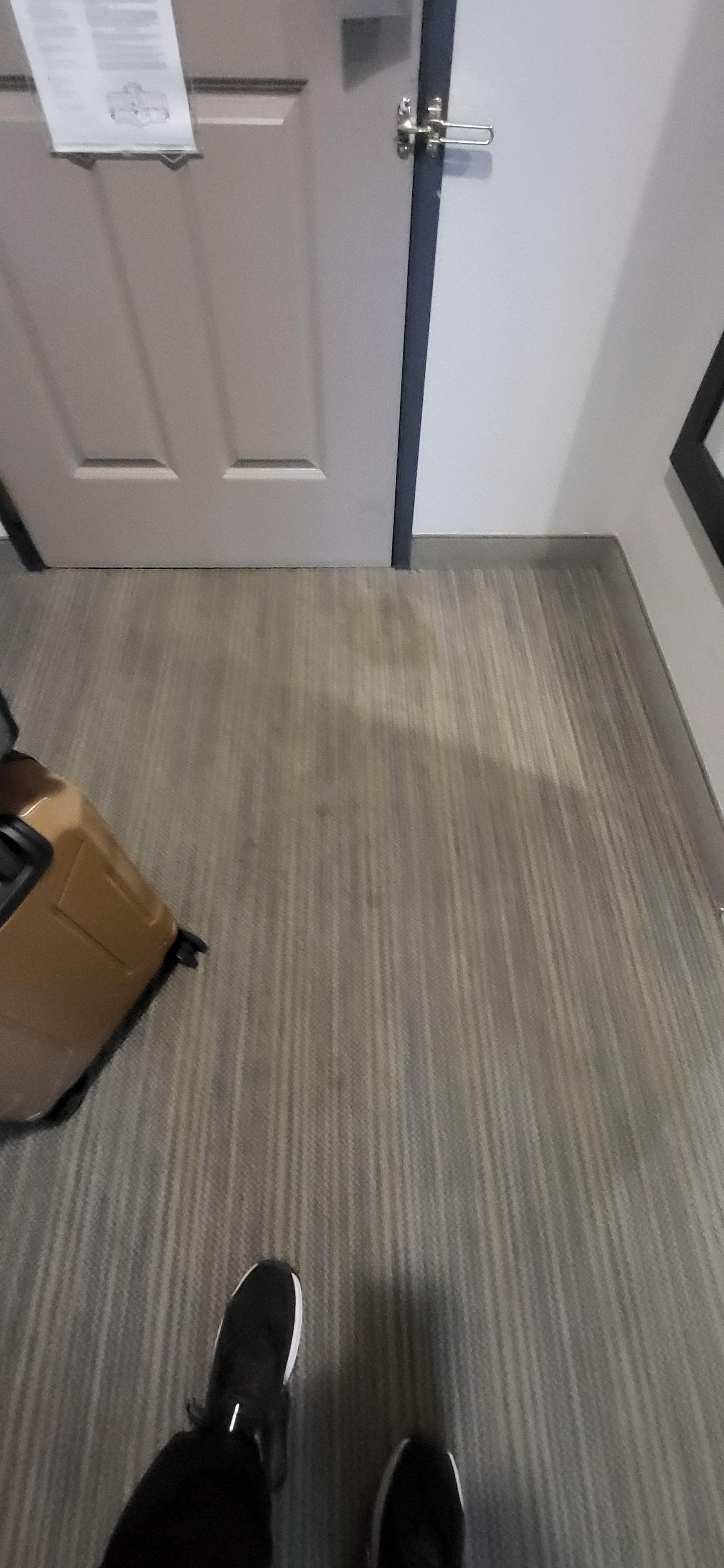 Carpets filthy and stained