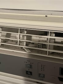 Moldy AC