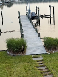 Ducks swimming underneath the dock