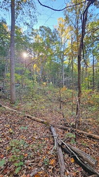 Forrest that the hoke backs up to