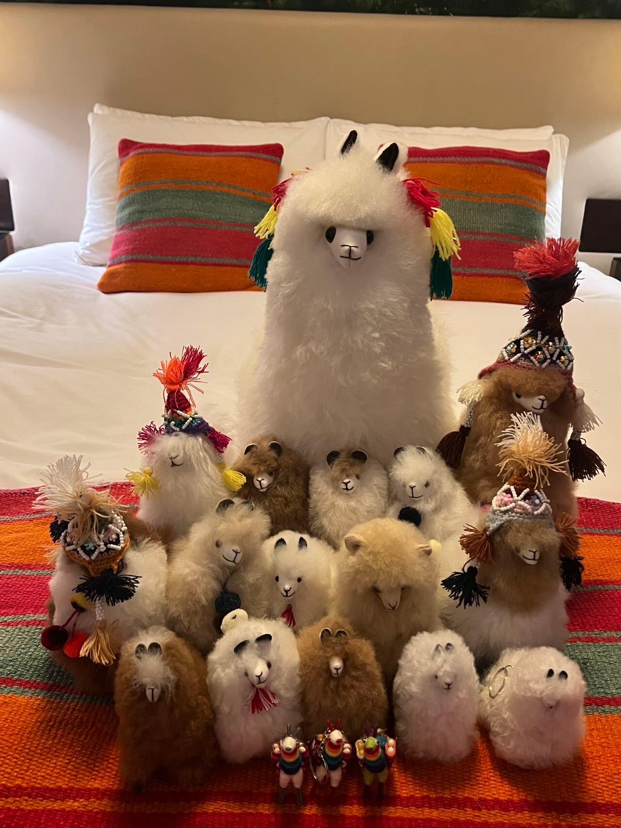 Took photo of our toys on the hotel bed:-p