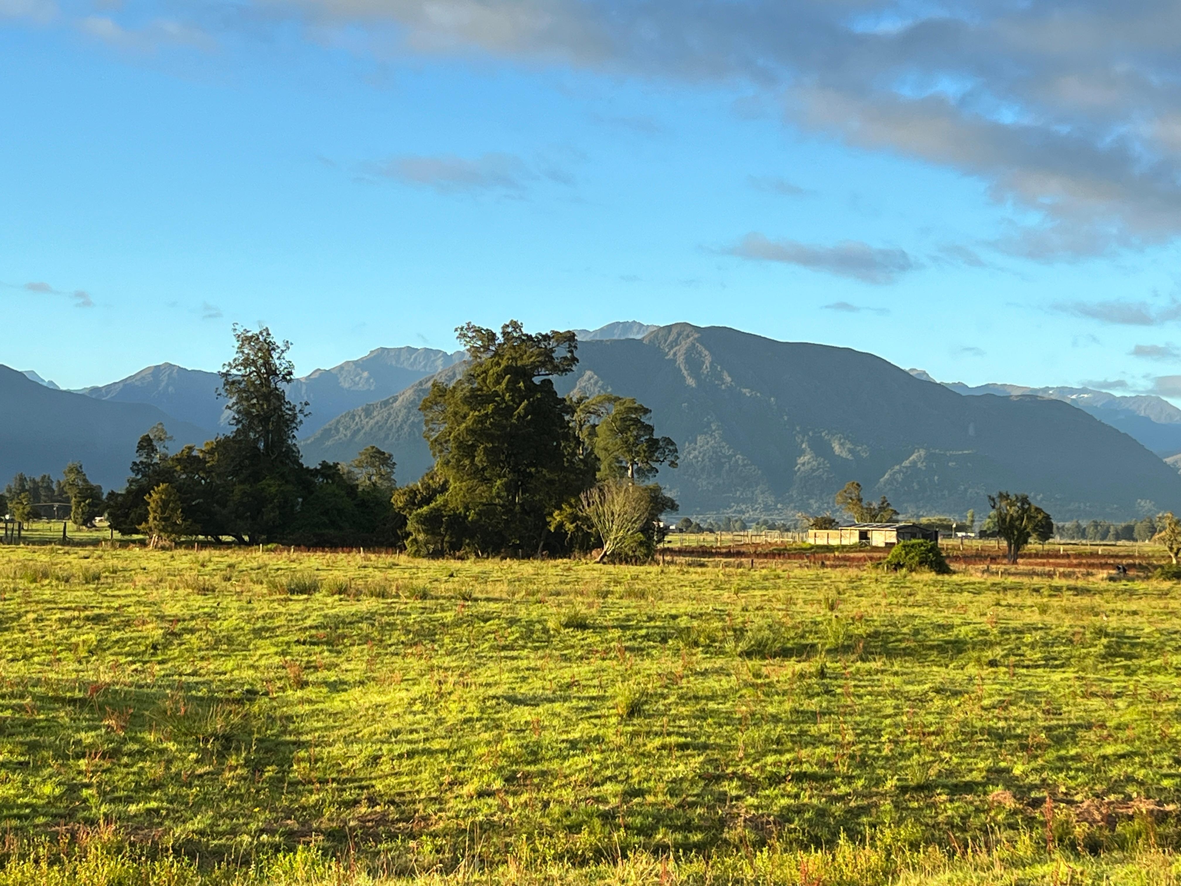 View from the lounge window 