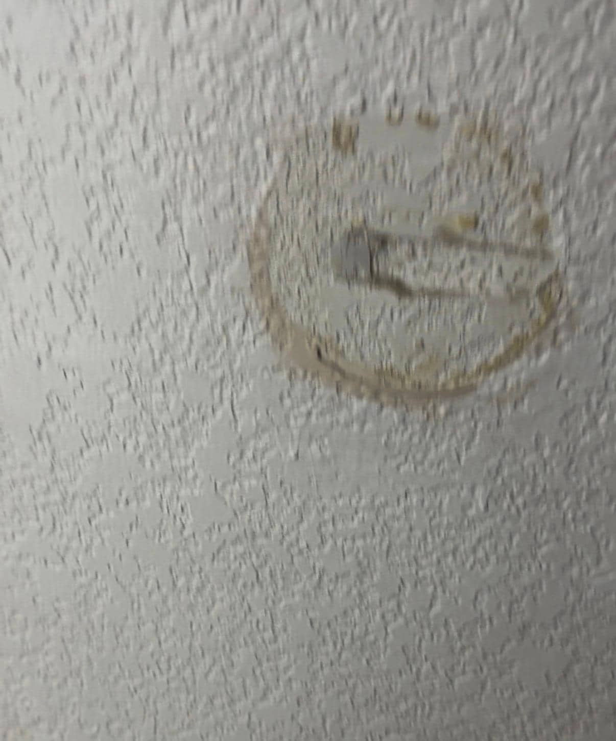 Door was slammed into wall. 