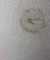 Door was slammed into wall.