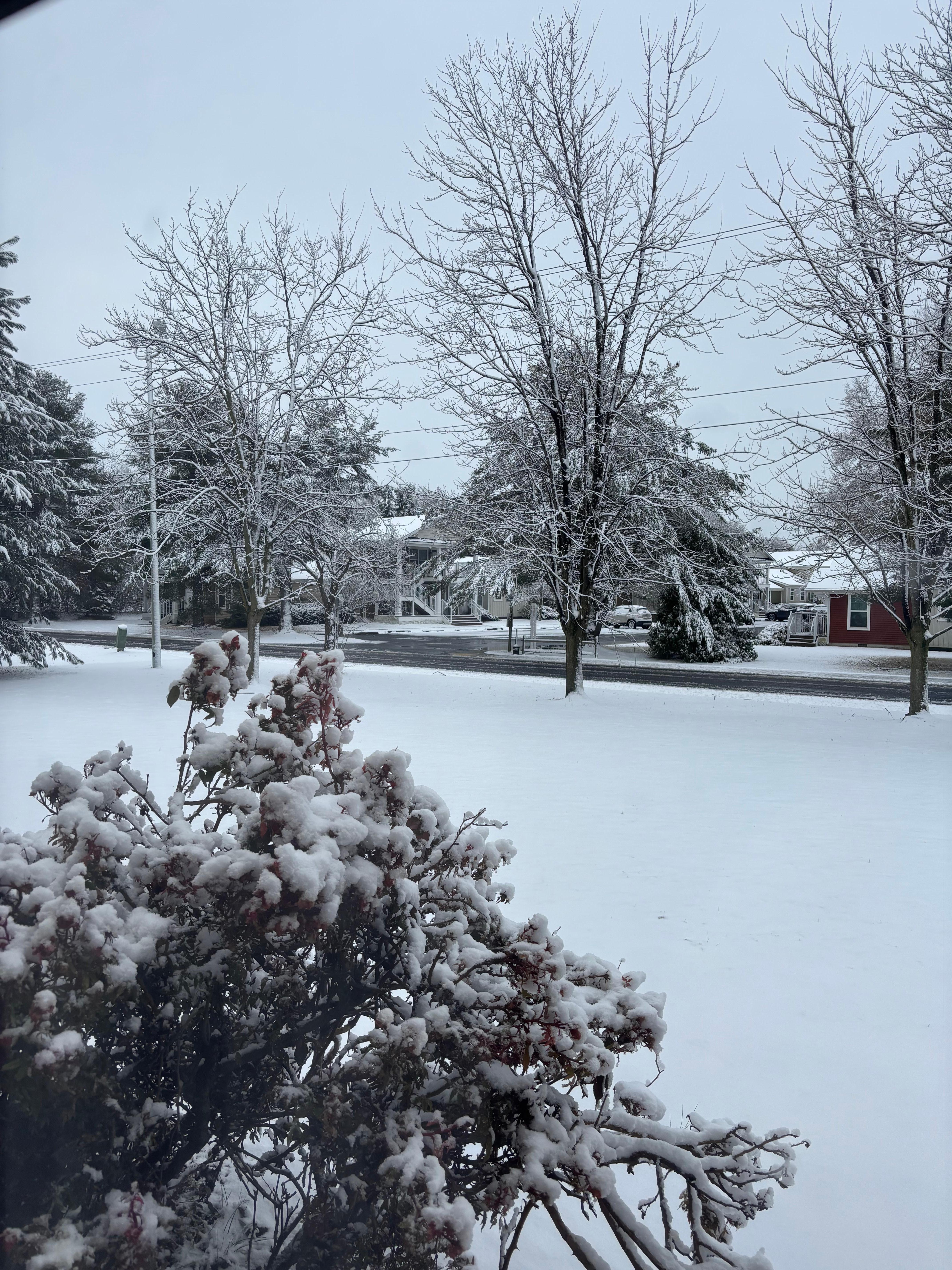 Last day there, I woke up to a winter wonderland!