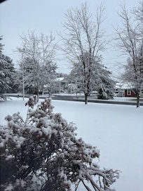 Last day there, I woke up to a winter wonderland!
