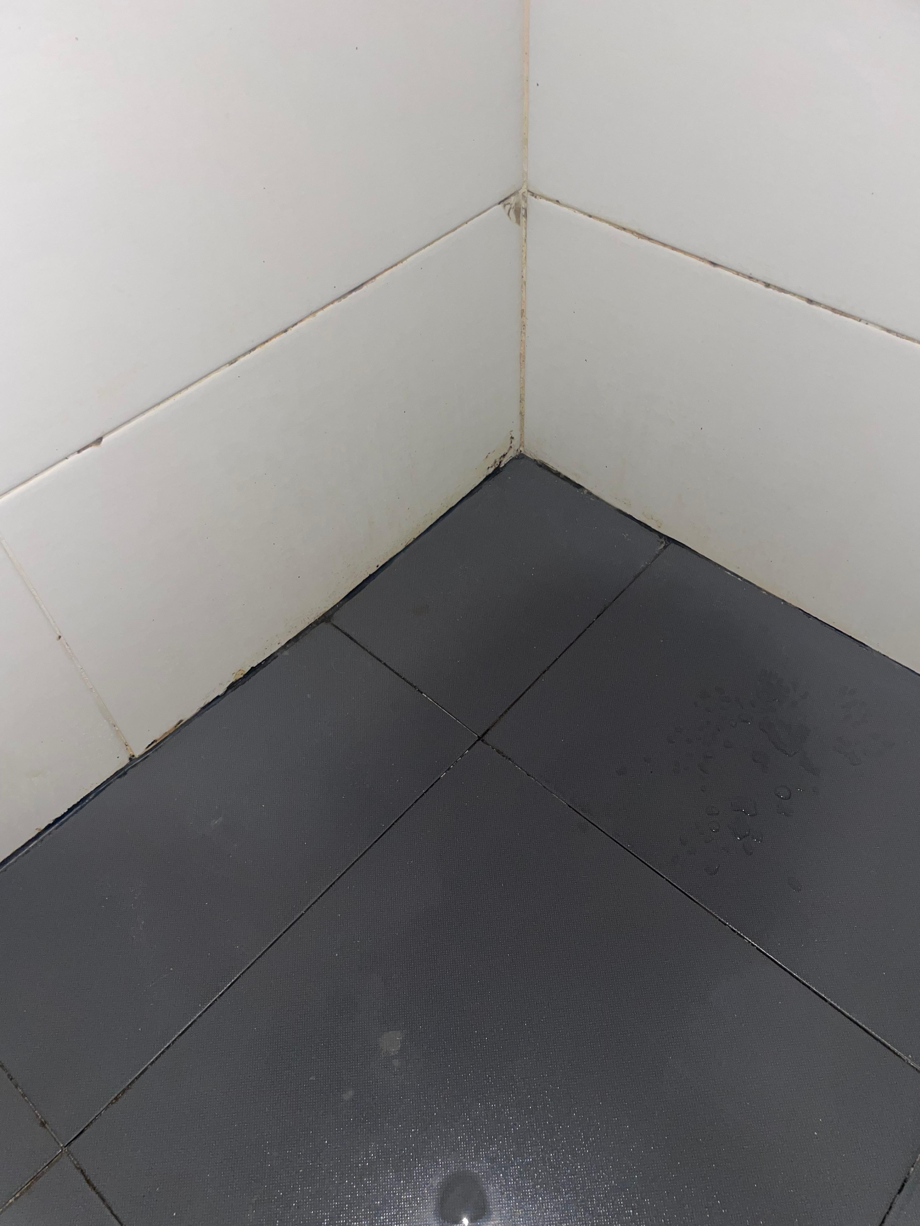 Mold in shower 