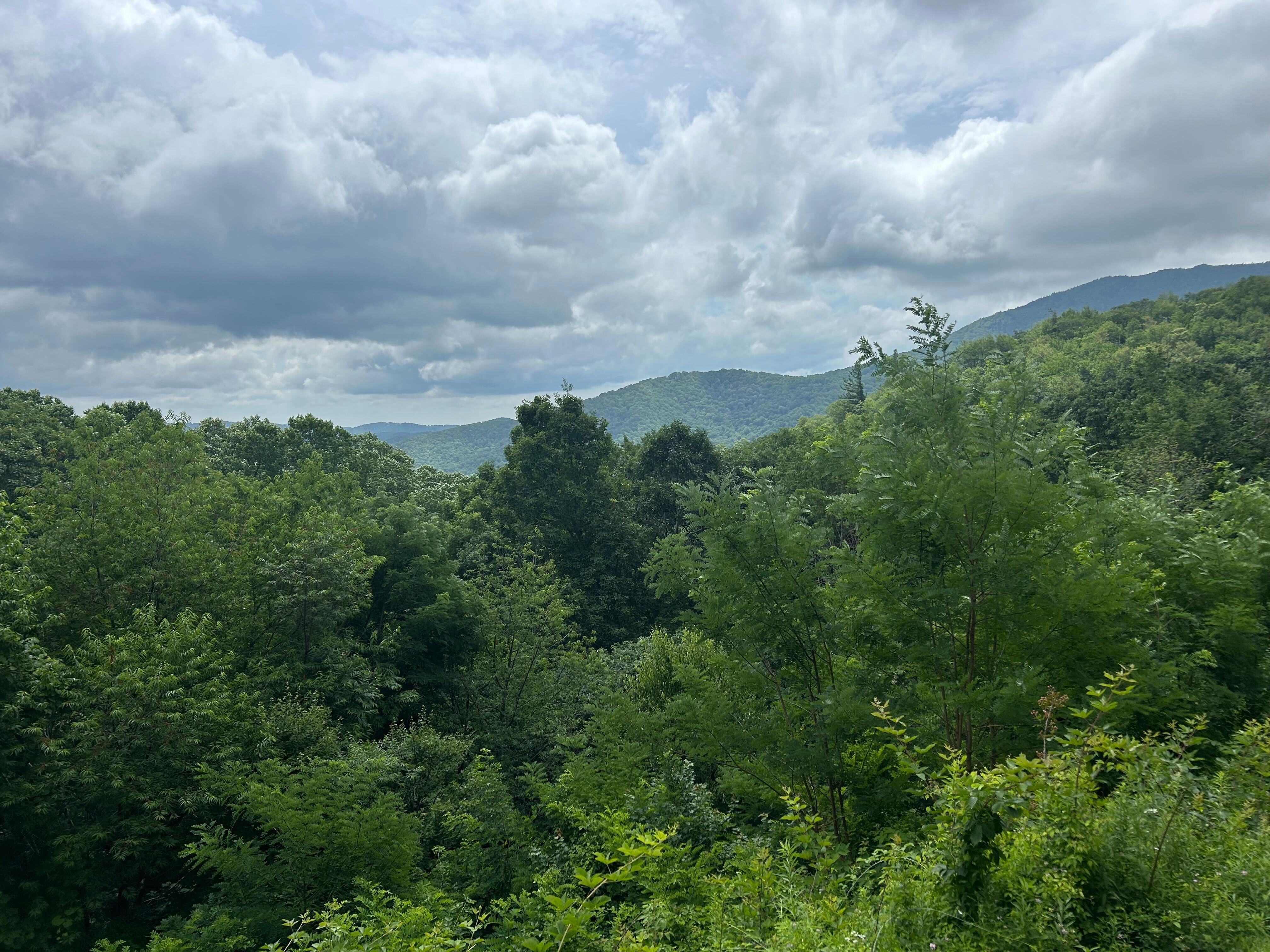 The view from my rocking chair on the porch.   I could do this every day! 